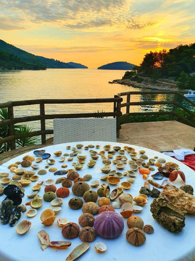 ヴェラ・ルカCasa Naranja Croatiaアパートメント エクステリア 写真